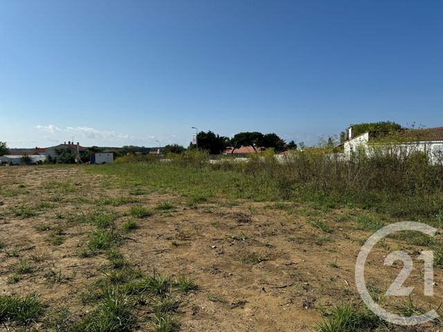 terrain à vendre - 300.0 m2 - BREM SUR MER - 85 - PAYS-DE-LOIRE - Century 21 Bleu Marine